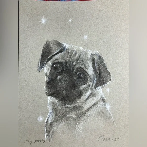 Pug puppy dog original painting charcoal pastel art new artwork black Artettina - Picture 9 of 9